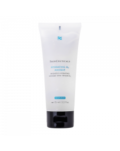 SkinCeuticals Hydrating B5 Masque